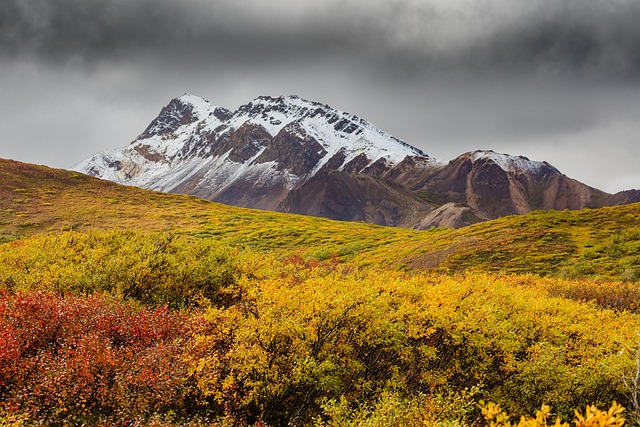 Alaska Wilderness Lodges for Remote Adventures