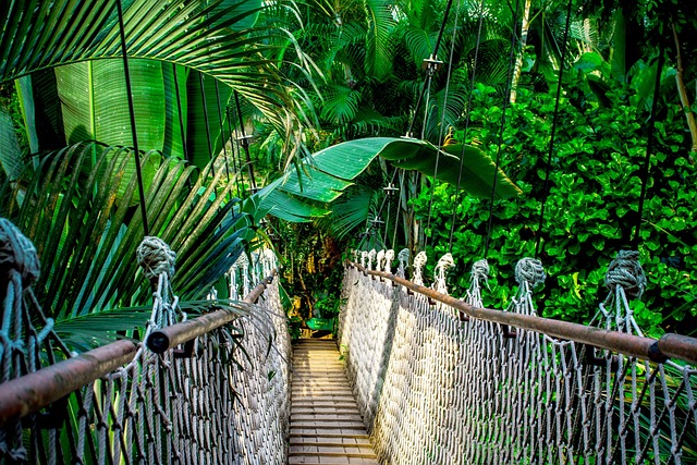 Amazon Rainforest Lodges for Wildlife Travel