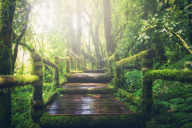 Brazil Jungle Lodges for Nature Adventures