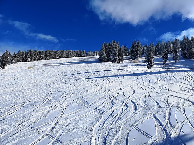 Colorado Ski Lodges for Winter Holidays