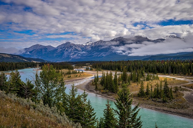 Jasper Wilderness Lodges for Nature Adventures