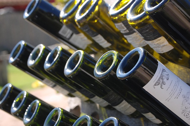 Mendoza Wine Lodges for Relaxed Escapes