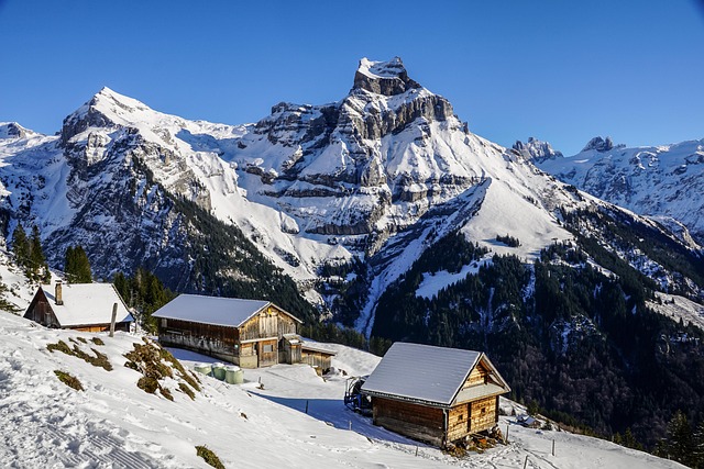 Whistler Ski Lodges for Winter Travelers
