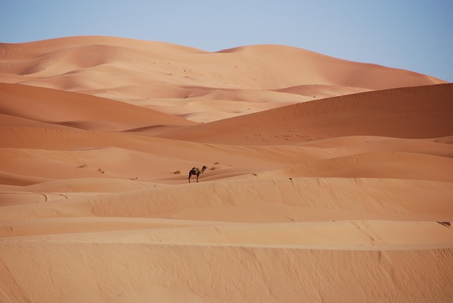 Algarve Resorts for Golden Sand