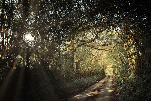 Cornwall Lodges for Coastal Roads