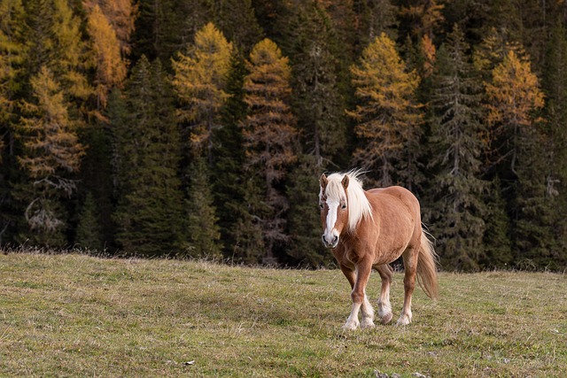 Dolomites Resorts for Mountain Days