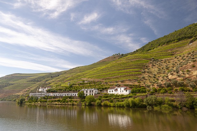 Douro Resorts for Wine Country