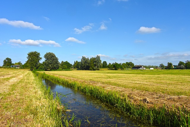 Dutch Countryside Homestays for Peace