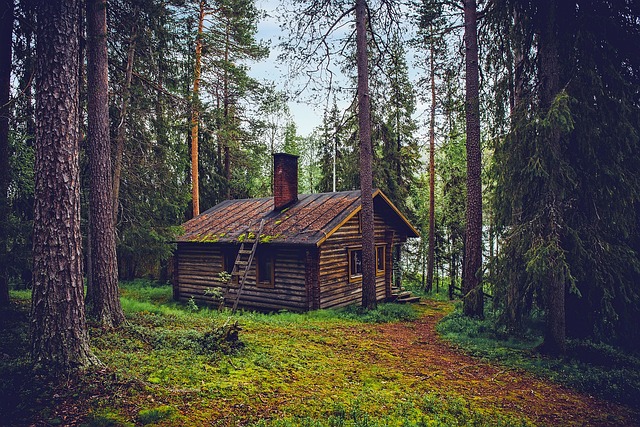 Finland Forest Lodges for Stillness