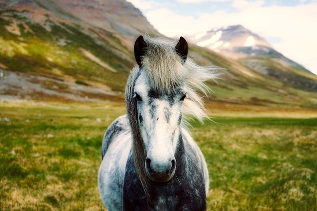 Iceland Resorts for Wild Landscapes