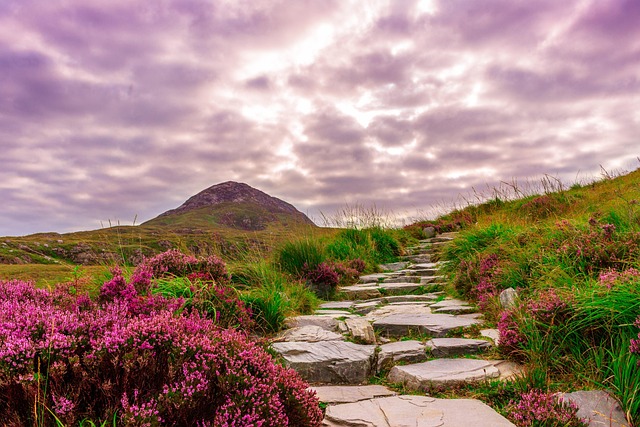 Ireland Homestays for Countryside Calm