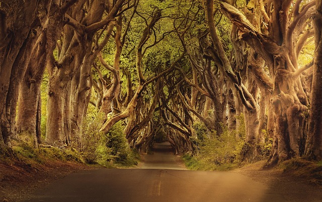 Ireland Hotels Near Coastal Roads