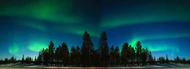Lapland Homestays for Winter Nights