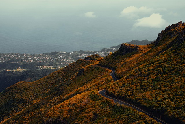 Madeira Homestays for Green Views
