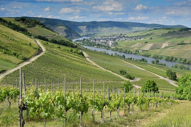 Moselle Villas for Vineyard Days