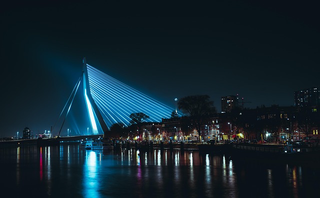 Rotterdam Homestays for Modern City Trips