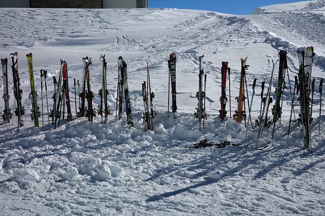 Slovakia Villas for Ski Breaks
