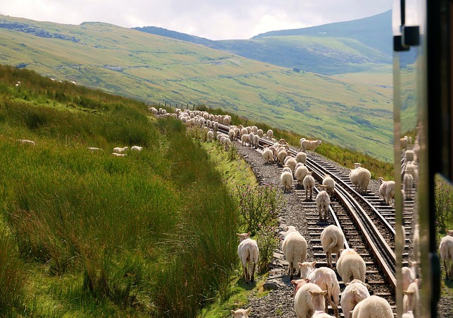 Snowdonia Lodges for Mountain Trips