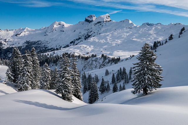Swiss Alps Resorts for Snow Trips