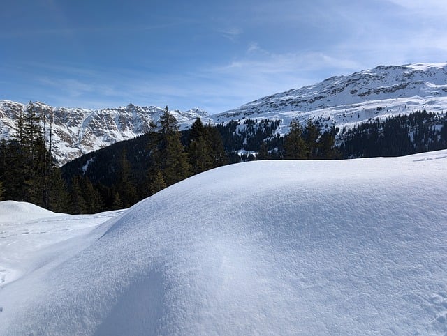 Swiss Villas for Alpine Comfort